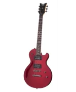 Schecter SGR SOLO-II Гитара электрическая-3