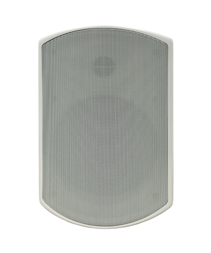 SVS Audiotechnik WSP-6W Pro Всепогодная трансляционная акустическая система