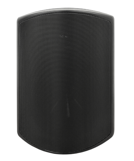 SVS Audiotechnik WSP-6B Pro Всепогодная трансляционная акустическая система