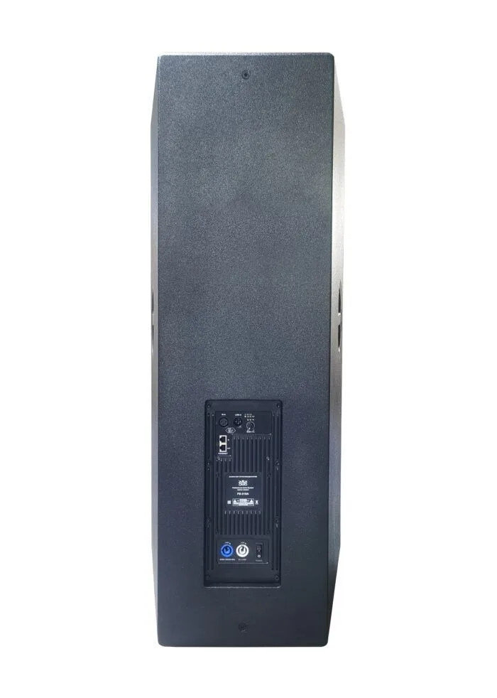 SVS Audiotechnik FS-215A DSP Активная акустическая система — фото 3