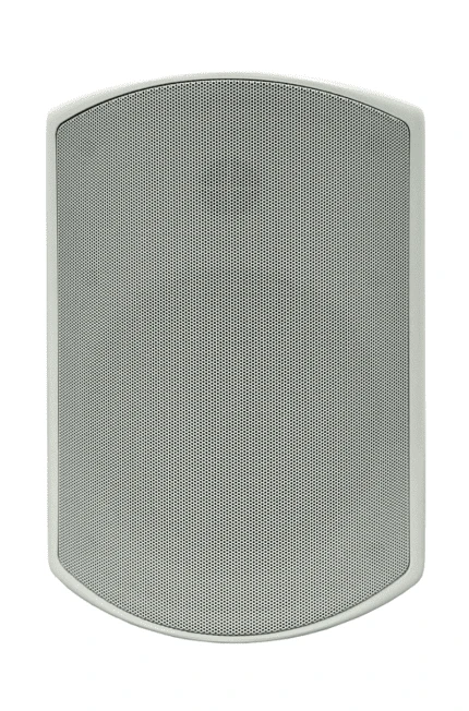 SVS Audiotechnik WSP-6W PRO Всепогодная трансляционная акустическая система