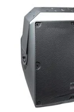 SVS Audiotechnik IP-12S Всепогодный трансляционный сабвуфер — фото 2